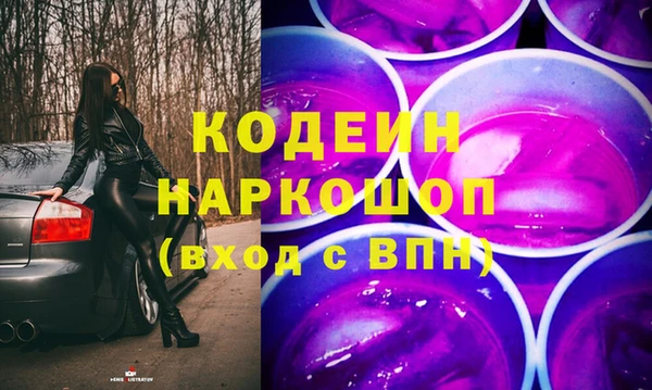 индика Касимов