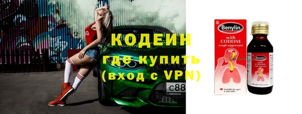 индика Касимов