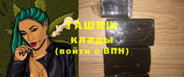 индика Касимов