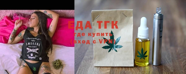 индика Касимов