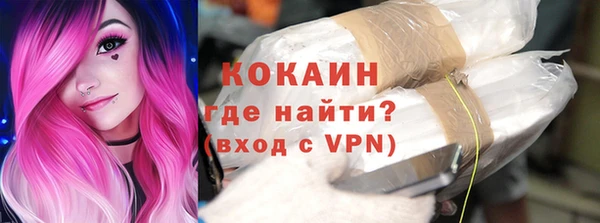 индика Касимов