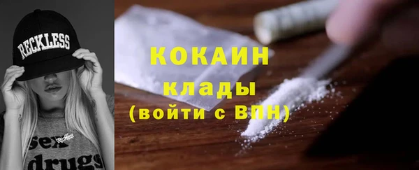 ПСИЛОЦИБИНОВЫЕ ГРИБЫ Карталы