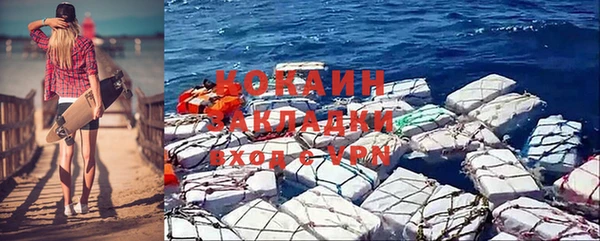 индика Касимов
