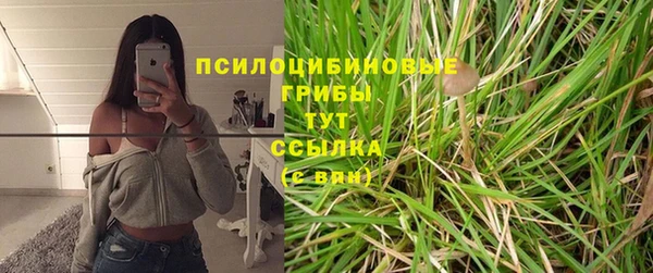 индика Касимов