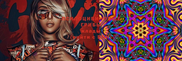 ПСИЛОЦИБИНОВЫЕ ГРИБЫ Карталы