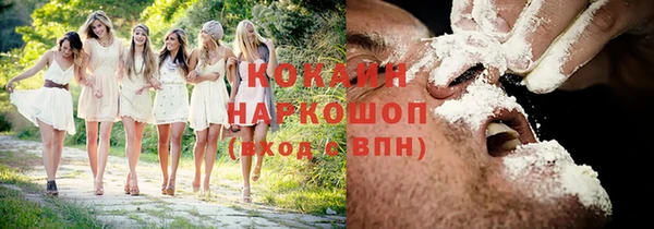 ПСИЛОЦИБИНОВЫЕ ГРИБЫ Карталы