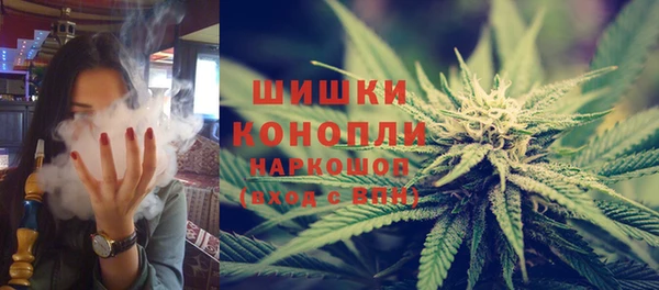 ПСИЛОЦИБИНОВЫЕ ГРИБЫ Карталы