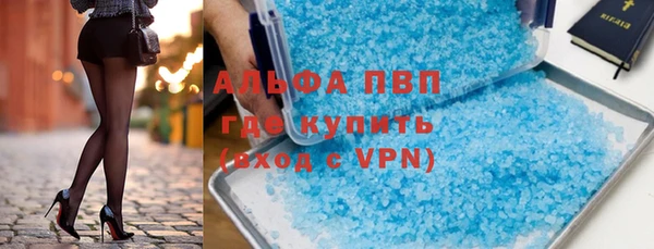 индика Касимов