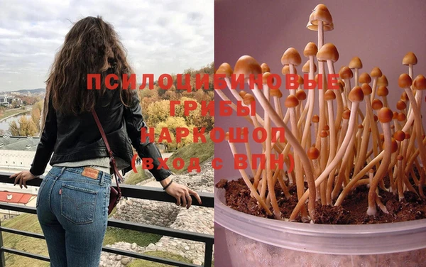 индика Касимов