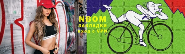 индика Касимов