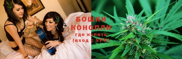 ПСИЛОЦИБИНОВЫЕ ГРИБЫ Карталы