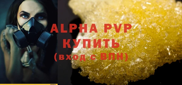 индика Касимов