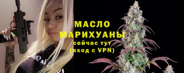 индика Касимов